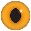 Teddy Bear Eyes Code 125:KOE
