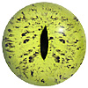 Dinosaur Eyes Code 132 DINO