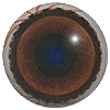 Mammal eyes code 190BR
