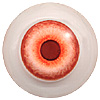 Mammal eyes code 190IP