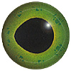 Fish Eyes Code 200FB