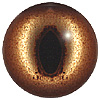 Fish Eyes Code 200H