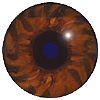 Mammal eyes code 300
