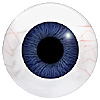 Mannequin Eyes Code 800MK