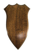 FSSFIN larger view