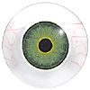Last chance to buy - Multicoloured Mannequin with veins. Hand painted mannequin eyes with a multicolour iris.