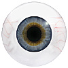 Human or Doll eyes. A great mannequin eye that can double as a human eye if required. The eye is quite fragile but can be back filled for stability.