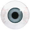 Human or Doll eyes. A great mannequin eye that can double as a human eye if required. The eye is quite fragile but can be back filled for stability.