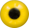 EM08-12 Yellow Acrylic eyes. This revolution in bird eye technology was created by award winning taxidermist Erling Morch. Created in crystal clear acrylic this natural looking eye has an accurately blended iris and a beautifully feathered pupil set at the correct depth to give the most natural all round look.
