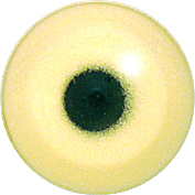 EMGANY-13 Acrylic Gannet eyes. This revolution in bird eye technology was created by award winning taxidermist Erling Morch. Created in crystal clear acrylic this natural looking eye has an accurately blended iris and a beautifully feathered pupil set at the correct depth to give the most natural all round look.