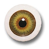 Light Green Human Mannequin or Doll eye. Ideal for wax or clay sculpture work. Handpainted with a slight corneal bulge for added realism. Great for special effects projects.