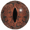 Dark Brown and Sienna multicoloured Lizard or Snake eyes. Concave/convex reptile/dinosaur eye with a highly detailed colouration.