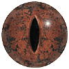 Dark Brown and Sienna multicoloured Lizard or Snake eyes. Concave/convex reptile/dinosaur eye with a highly detailed colouration. Dark Brown and Sienna multicoloured Lizard or Snake eyes. Concave/convex reptile/dinosaur eye with a highly detailed colouration.