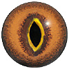 Brown and Gold pupil rim Lizard or Snake eyes. Concave/convex reptile/dinosaur eye with a highly detailed colouration.