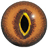 Brown and Gold pupil rim Lizard or Snake eyes. Concave/convex reptile/dinosaur eye with a highly detailed colouration. Brown and Gold pupil rim Lizard or Snake eyes. Concave/convex reptile/dinosaur eye with a highly detailed colouration.