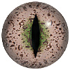 Speckled Green/Brown Caimen Crocodile Eyes. Concave/convex reptile/dinosaur eye with a highly detailed colouration.
