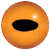 Orange Frog Eyes with an oval pupil. Eyes designed for amphibians.