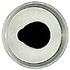 Special Offer - A new shape crystal fish eye with an aspheric profile and a defined iris shape set into the eye. Fired black enamel pupil designed for self painting. Special Offer - A new shape crystal fish eye with an aspheric profile and a defined iris shape set into the eye. Fired black enamel pupil designed for self painting.