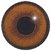 Dog Eyes. A multicoloured eye with a round pupil in a concave/convex shape and an accurately painted iris. Dog Eyes. A multicoloured eye with a round pupil in a concave/convex shape and an accurately painted iris.