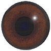 Dog Eyes. A multicoloured eye with a round pupil in a concave/convex shape and an accurately painted iris. Dog Eyes. A multicoloured eye with a round pupil in a concave/convex shape and an accurately painted iris.
