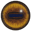 Sheep or Goat Eyes. This popular concave/convex eye has an oval pupil with an accurately coloured and blended iris. Sheep or Goat Eyes. This popular concave/convex eye has an oval pupil with an accurately coloured and blended iris.