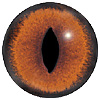 Mammal eyes code 195