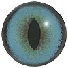 Blue Cat Eye. A premium grade Fox/Cat eye with a slit pupil. An excelllent exhibition quality eye.