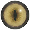 Cat Eye. A premium grade Fox/Cat eye with a slit pupil. An excelllent exhibition quality eye. Cat Eye. A premium grade Fox/Cat eye with a slit pupil. An excelllent exhibition quality eye.