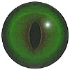 Emerald Green Cat Eye. A premium grade Fox/Cat eye with a slit pupil. An excelllent exhibition quality eye.