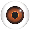 Brown Glass Doll Eyes. Hand painted glass doll eyes with a multicolour iris. Traditionally made eye with a bulging iris for an element of realism. Brown Glass Doll Eyes. Hand painted glass doll eyes with a multicolour iris. Traditionally made eye with a bulging iris for an element of realism.
