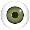 Green Glass Doll Eyes. Hand painted glass doll eyes with a multicolour iris. Traditionally made eye with a bulging iris for an element of realism. Green Glass Doll Eyes. Hand painted glass doll eyes with a multicolour iris. Traditionally made eye with a bulging iris for an element of realism.