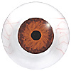 Multicoloured mannequin with veins. Hand painted mannequin eyes with a multicolour iris. Multicoloured mannequin with veins. Hand painted mannequin eyes with a multicolour iris.