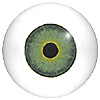 Multicoloured mannequin eyes. Hand painted mannequin eyes with a multicolour iris. Multicoloured mannequin eyes. Hand painted mannequin eyes with a multicolour iris.