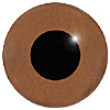 Brown Glass Bird Eyes. A single colour iris with a black pupil on wire. Ideal for stickmaking and Decoy carving. Brown Glass Bird Eyes. A single colour iris with a black pupil on wire. Ideal for stickmaking and Decoy carving.