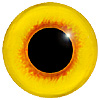 Yellow with Red Pupil Rim Bird Eyes. This glass eye on wire has a multi-colour iris with a black pupil. Ideal for stickmaking and Decoy carving.