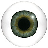 Human or Doll eyes. A great mannequin eye that can double as a human eye if required. The eye is quite fragile but can be back filled for stability. Human or Doll eyes. A great mannequin eye that can double as a human eye if required. The eye is quite fragile but can be back filled for stability.