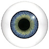 Human or Doll eyes. A great mannequin eye that can double as a human eye if required. The eye is quite fragile but can be back filled for stability. Human or Doll eyes. A great mannequin eye that can double as a human eye if required. The eye is quite fragile but can be back filled for stability.
