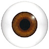 Human or Doll eyes. A great mannequin eye that can double as a human eye if required. The eye is quite fragile but can be back filled for stability.