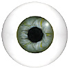 Human or Doll eyes. A great mannequin eye that can double as a human eye if required. The eye is quite fragile but can be back filled for stability. Human or Doll eyes. A great mannequin eye that can double as a human eye if required. The eye is quite fragile but can be back filled for stability.