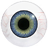 Human or Doll eyes. A great mannequin eye that can double as a human eye if required. The eye is quite fragile but can be back filled for stability.