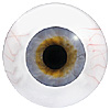 Human or Doll eyes. A great mannequin eye that can double as a human eye if required. The eye is quite fragile but can be back filled for stability. Human or Doll eyes. A great mannequin eye that can double as a human eye if required. The eye is quite fragile but can be back filled for stability.