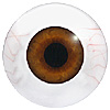 Human or Doll eyes. A great mannequin eye that can double as a human eye if required. The eye is quite fragile but can be back filled for stability.