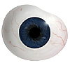 Mouth blown Mannequin Human or Doll eyes with prosthetic shells with veins. Ideal for Film and TV use. Mouth blown Mannequin Human or Doll eyes with prosthetic shells with veins. Ideal for Film and TV use.