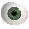 Mouth blown Mannequin Human or Doll eyes with prosthetic shells with veins. Ideal for Film and TV use. Mouth blown Mannequin Human or Doll eyes with prosthetic shells with veins. Ideal for Film and TV use.