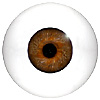 Mannequin Human or Doll eyes without veins. This is the closest to a prosthetic eye available for the price. Ideal for close up camera work or display models.