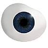 Mouth blown Mannequin Human or Doll eyes with prosthetic shells without veins. Ideal for Film and TV use. Mouth blown Mannequin Human or Doll eyes with prosthetic shells without veins. Ideal for Film and TV use.