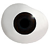 Mouth blown Mannequin Human or Doll eyes with prosthetic shells without veins. Ideal for Film and TV use. Mouth blown Mannequin Human or Doll eyes with prosthetic shells without veins. Ideal for Film and TV use.