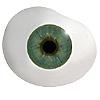 Mouth blown Mannequin Human or Doll eyes with prosthetic shells without veins. Ideal for Film and TV use. Mouth blown Mannequin Human or Doll eyes with prosthetic shells without veins. Ideal for Film and TV use.