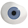 Mouth blown Mannequin Human or Doll eyes with prosthetic shells without veins. Ideal for Film and TV use. Mouth blown Mannequin Human or Doll eyes with prosthetic shells without veins. Ideal for Film and TV use.
