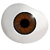 Mouth blown Mannequin Human or Doll eyes with prosthetic shells without veins. Ideal for Film and TV use. Mouth blown Mannequin Human or Doll eyes with prosthetic shells without veins. Ideal for Film and TV use.